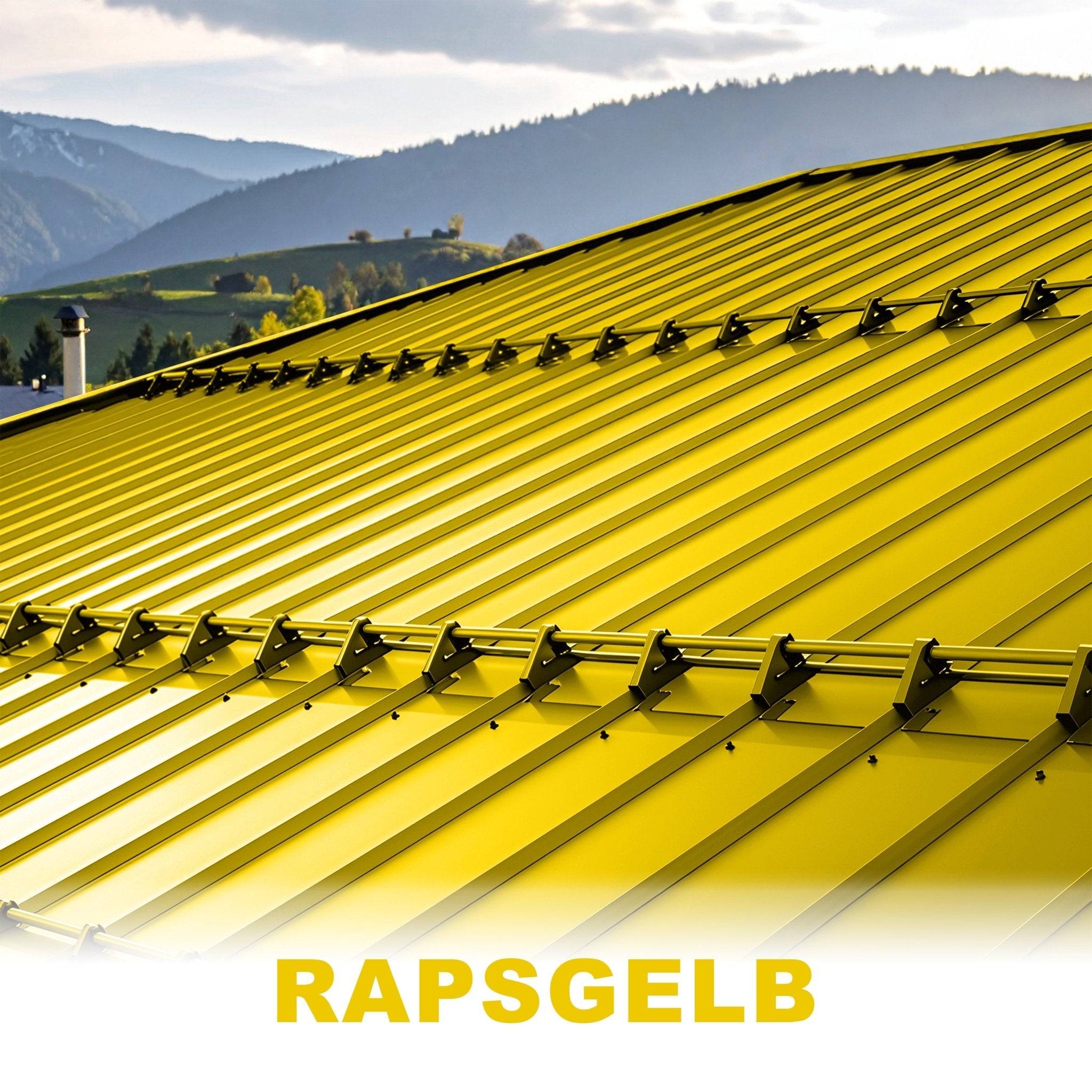 #Farbe_Rapsgelb