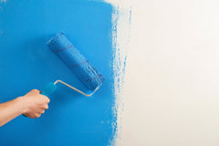 Peinture intérieure pour les murs et plafonds W555 5-20L