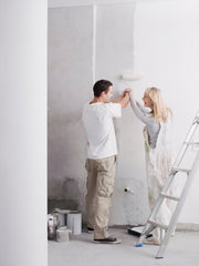 Peinture intérieure pour les murs et plafonds W555 5-20L