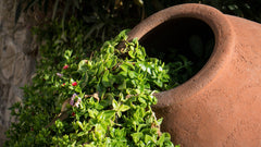 Terracotta Imprägnierung Naturstein Versiegelung Fleckenschutz Pflege Schutz W860 1-5L