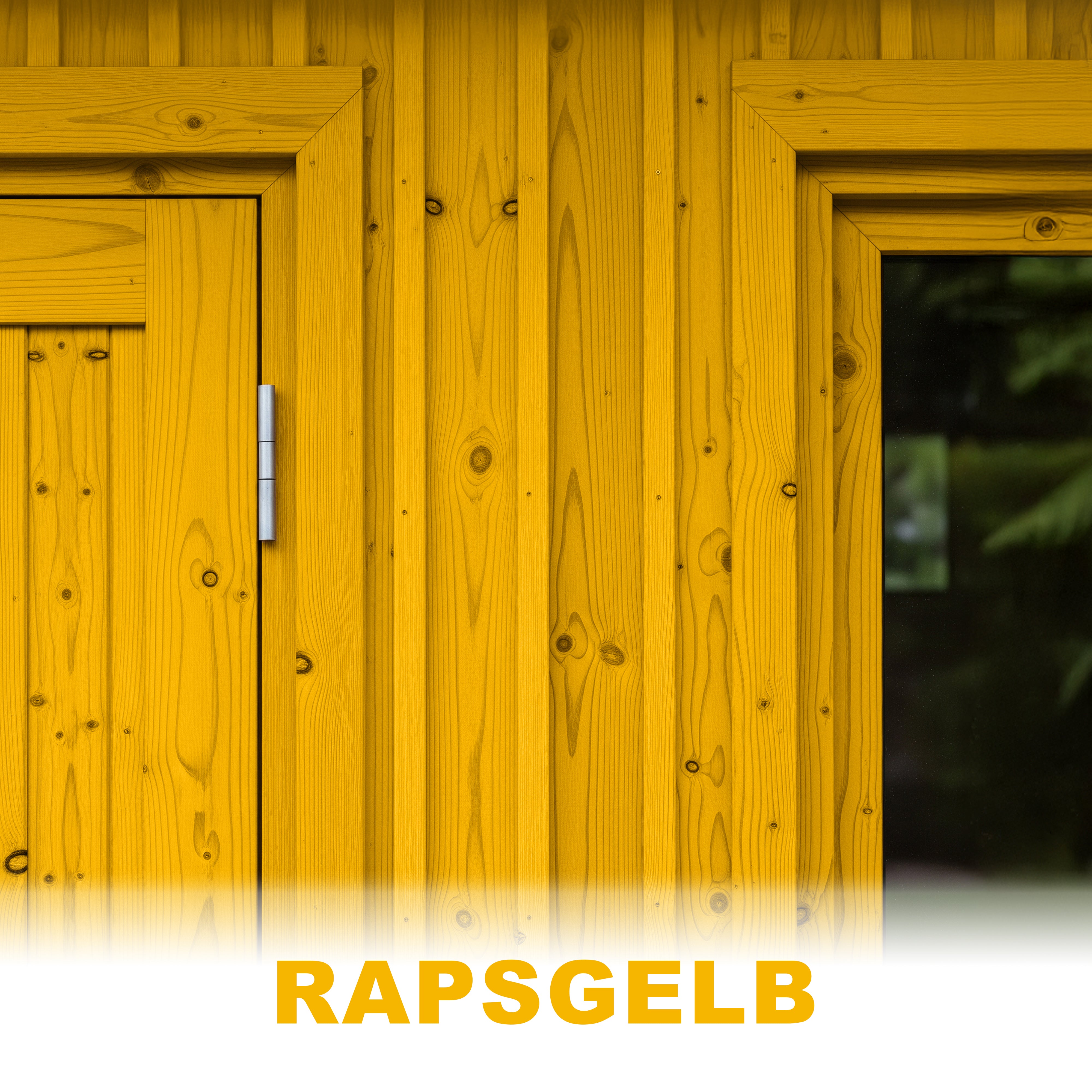 #Farbe_Rapsgelb